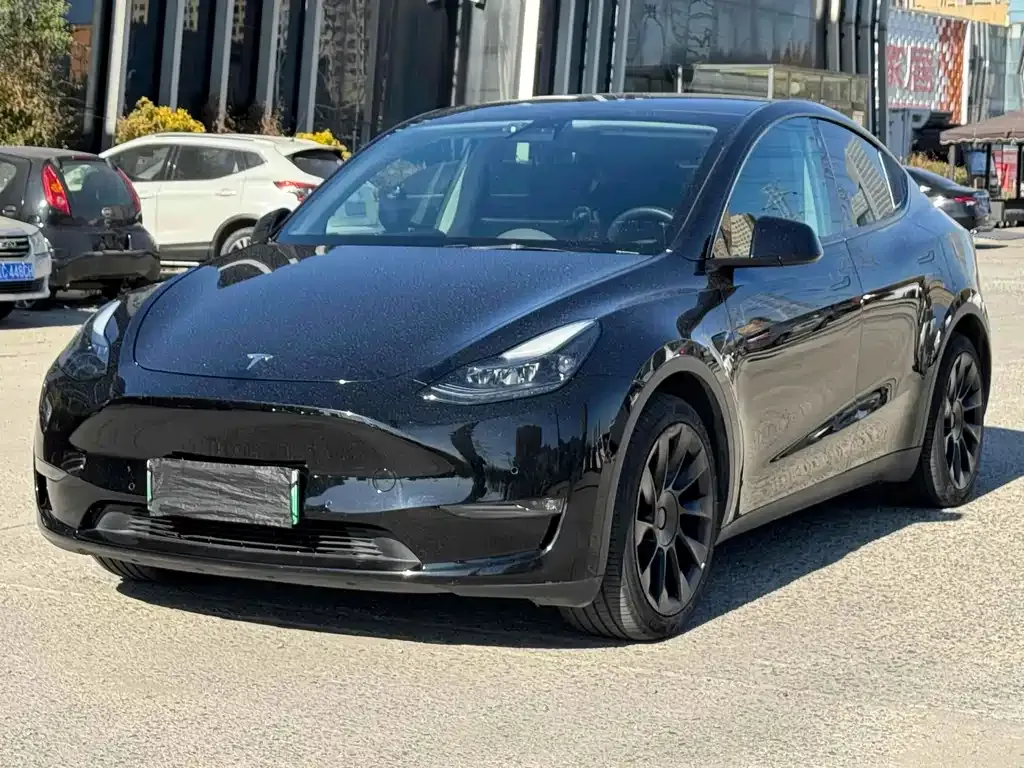 Tesla Model Y 2021 из CN, фото 2