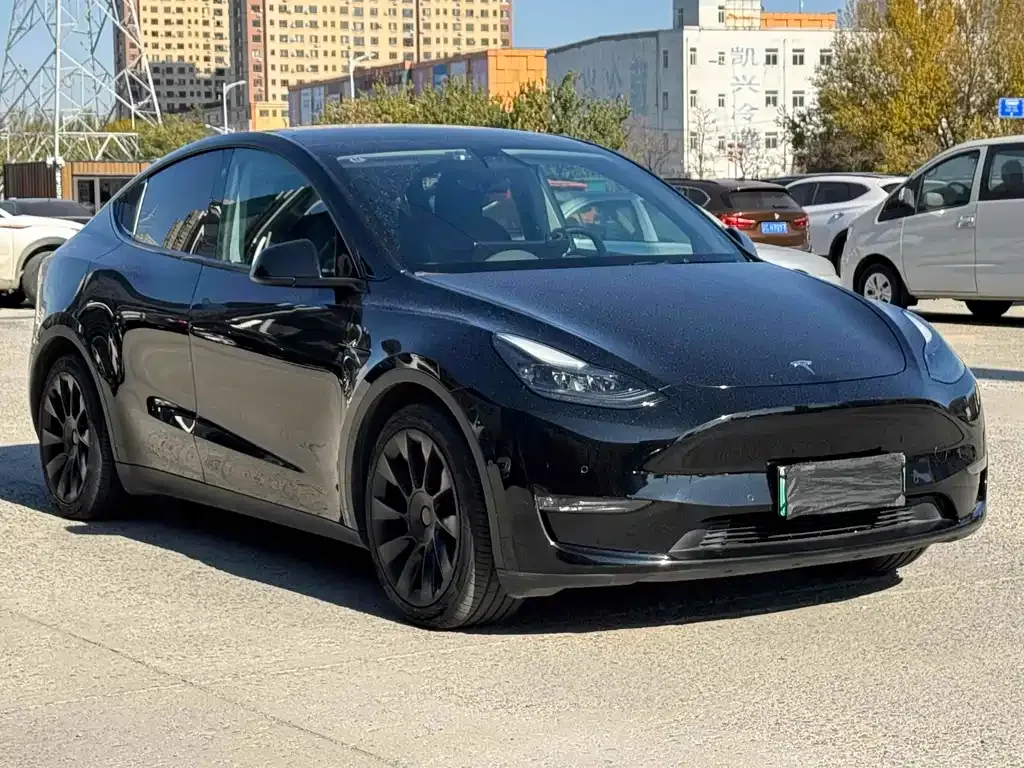 Tesla Model Y 2021 из CN, фото 3