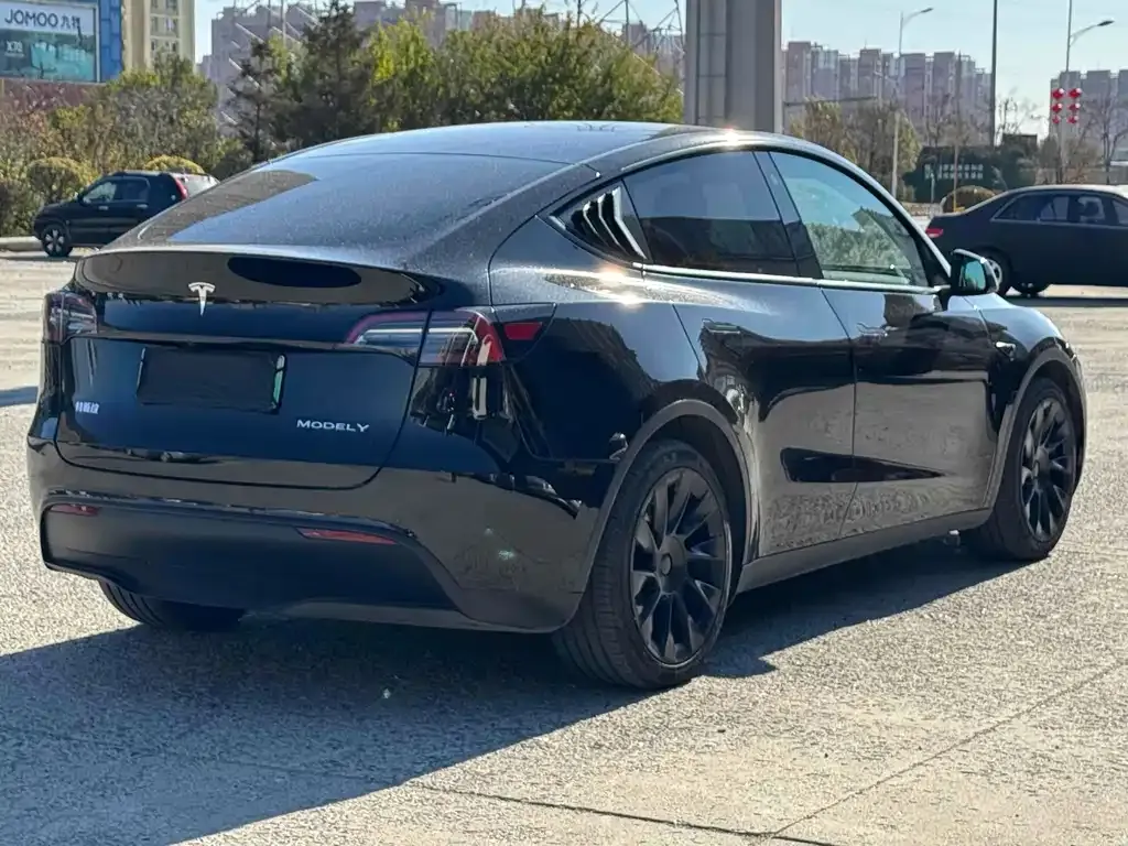 Tesla Model Y 2021 из CN, фото 4