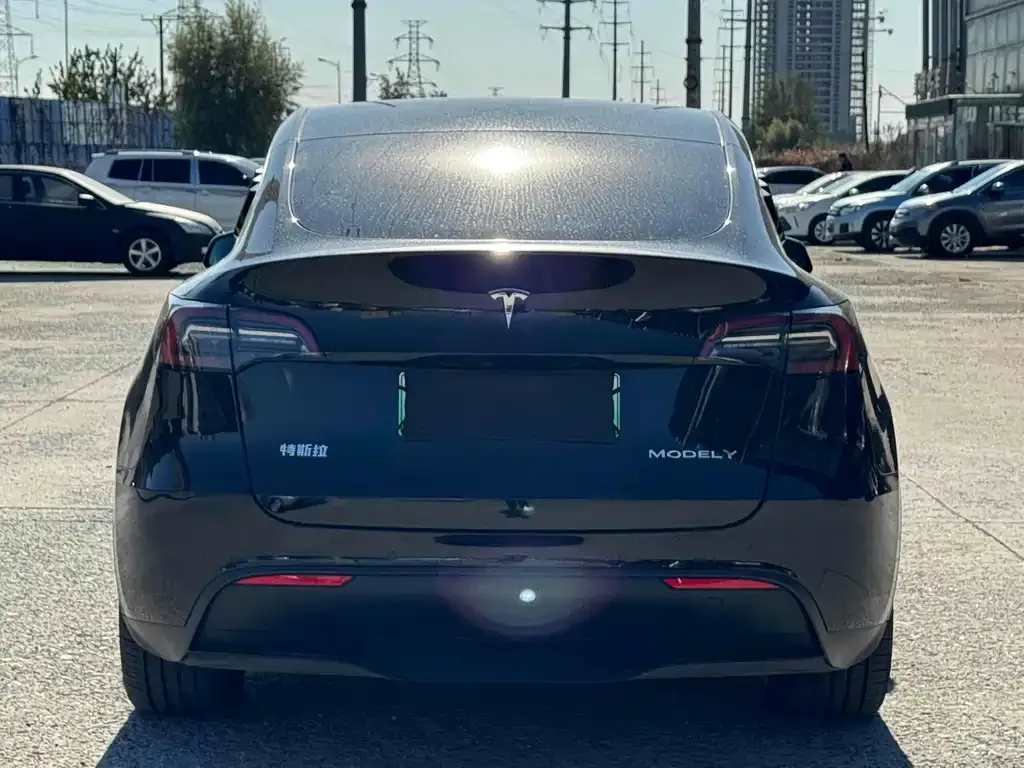 Tesla Model Y 2021 из CN, фото 5
