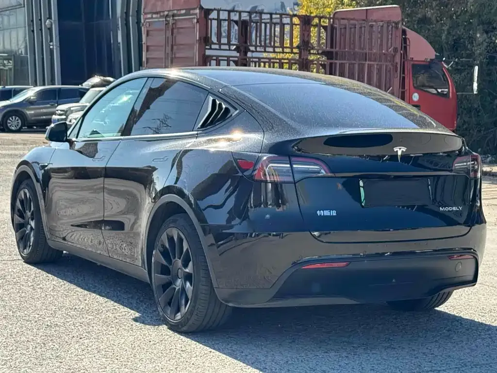 Tesla Model Y 2021 из CN, фото 6