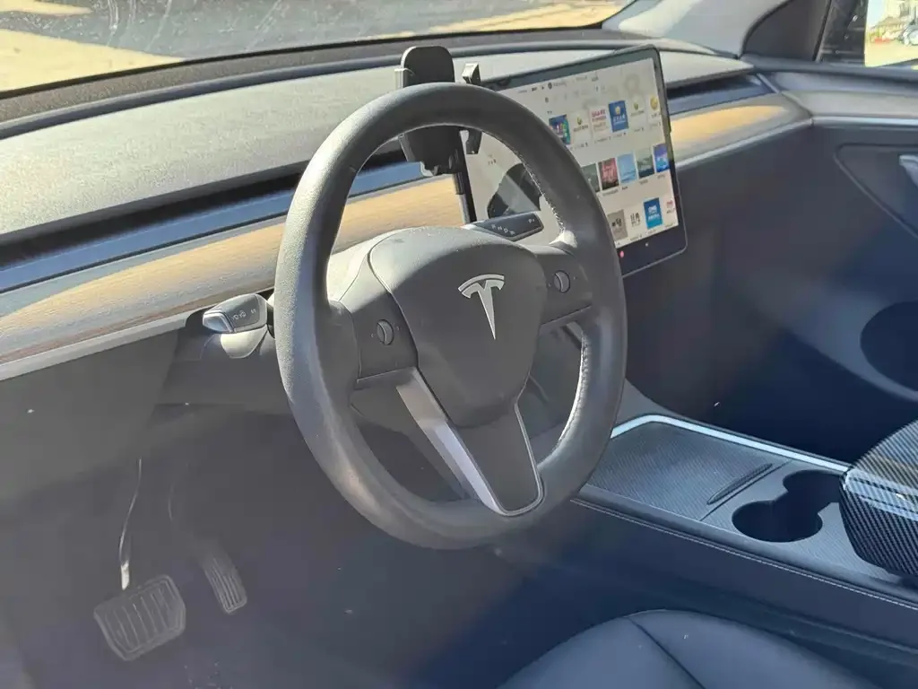 Tesla Model Y 2021 из CN, фото 9