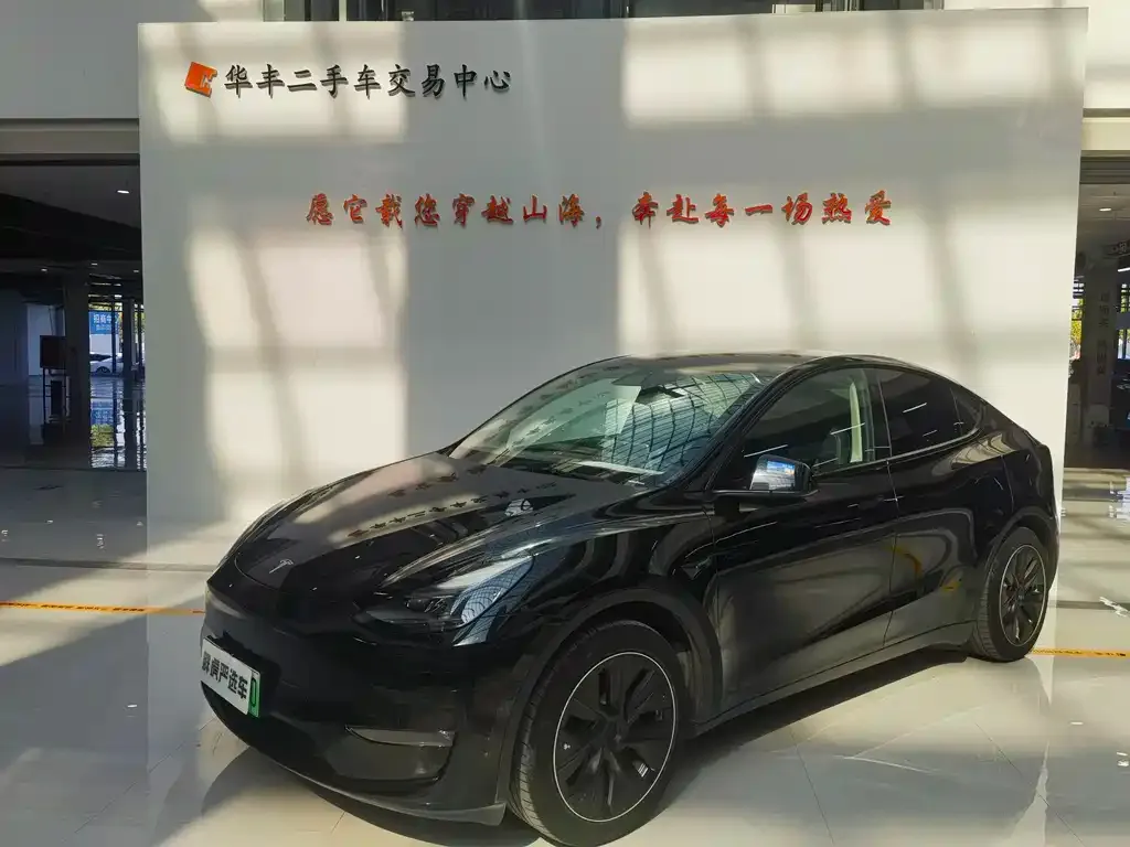 Tesla Model Y 2021 из CN, фото 1