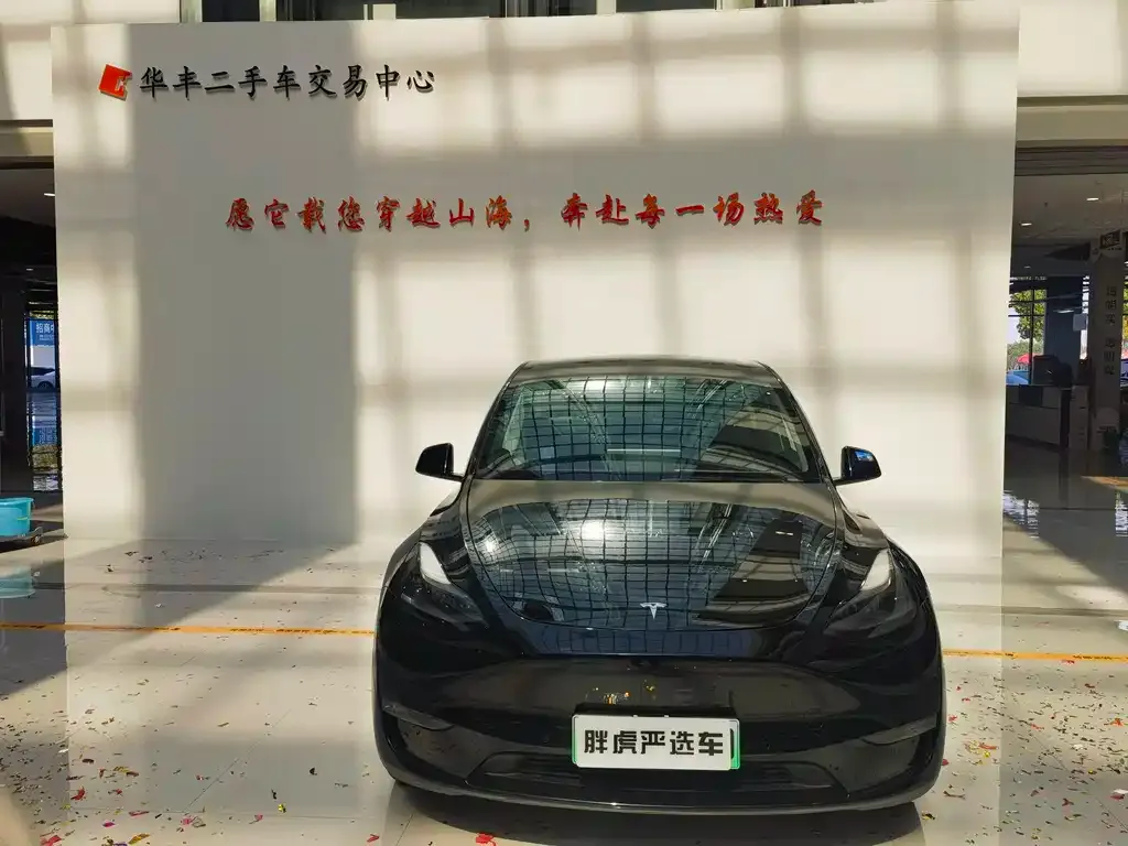 Tesla Model Y 2021 из CN, фото 2