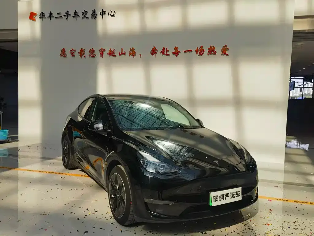 Tesla Model Y 2021 из CN, фото 3