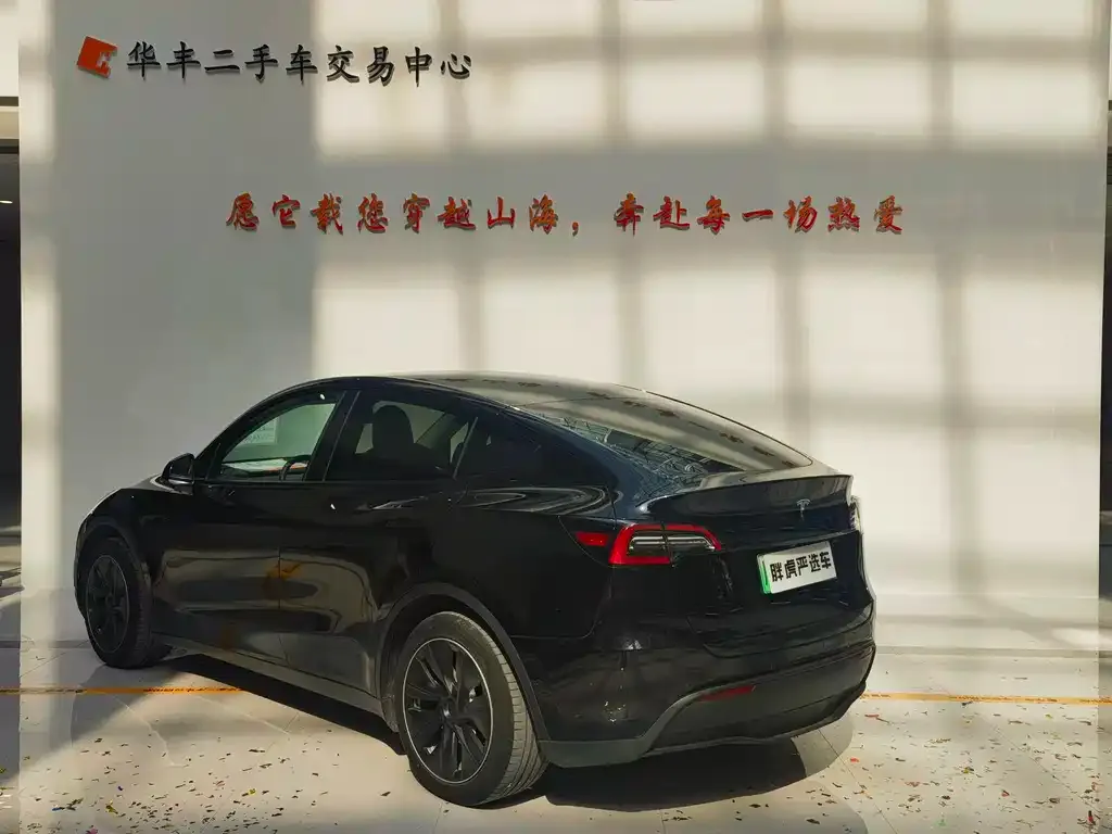 Tesla Model Y 2021 из CN, фото 7
