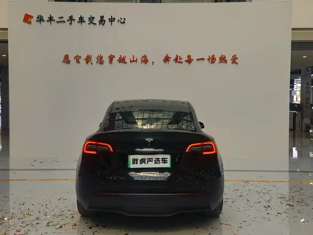 Tesla Model Y 2021 из CN, фото 8