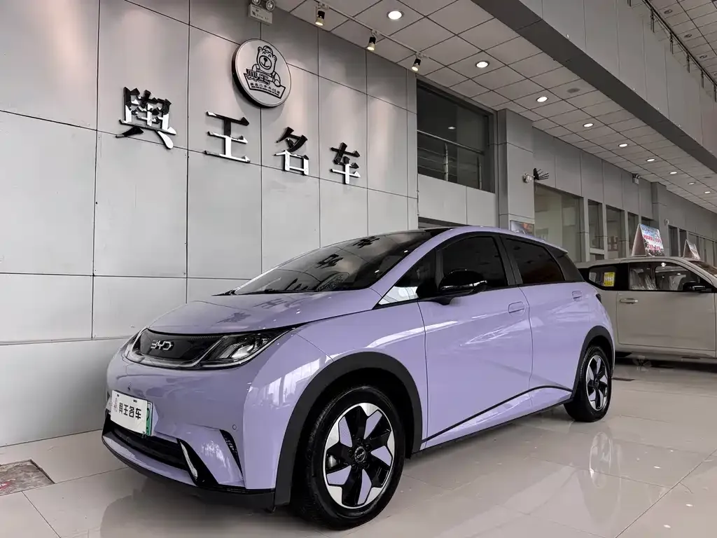 BYD Dolphin 2024 из CN, фото 1