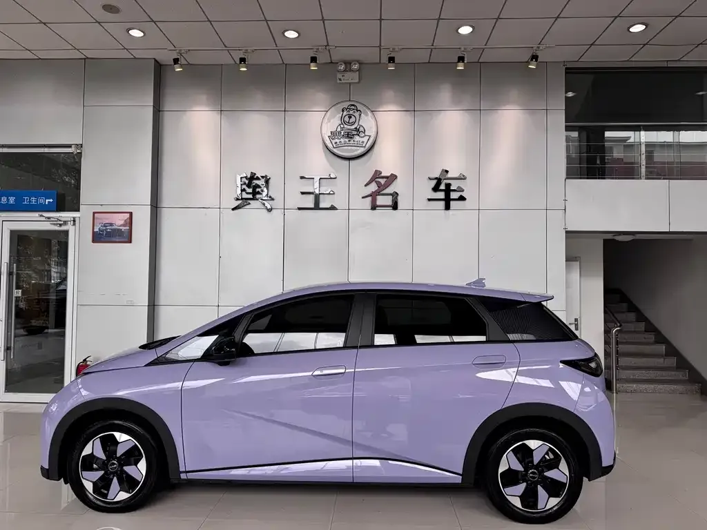 BYD Dolphin 2024 из CN, фото 2