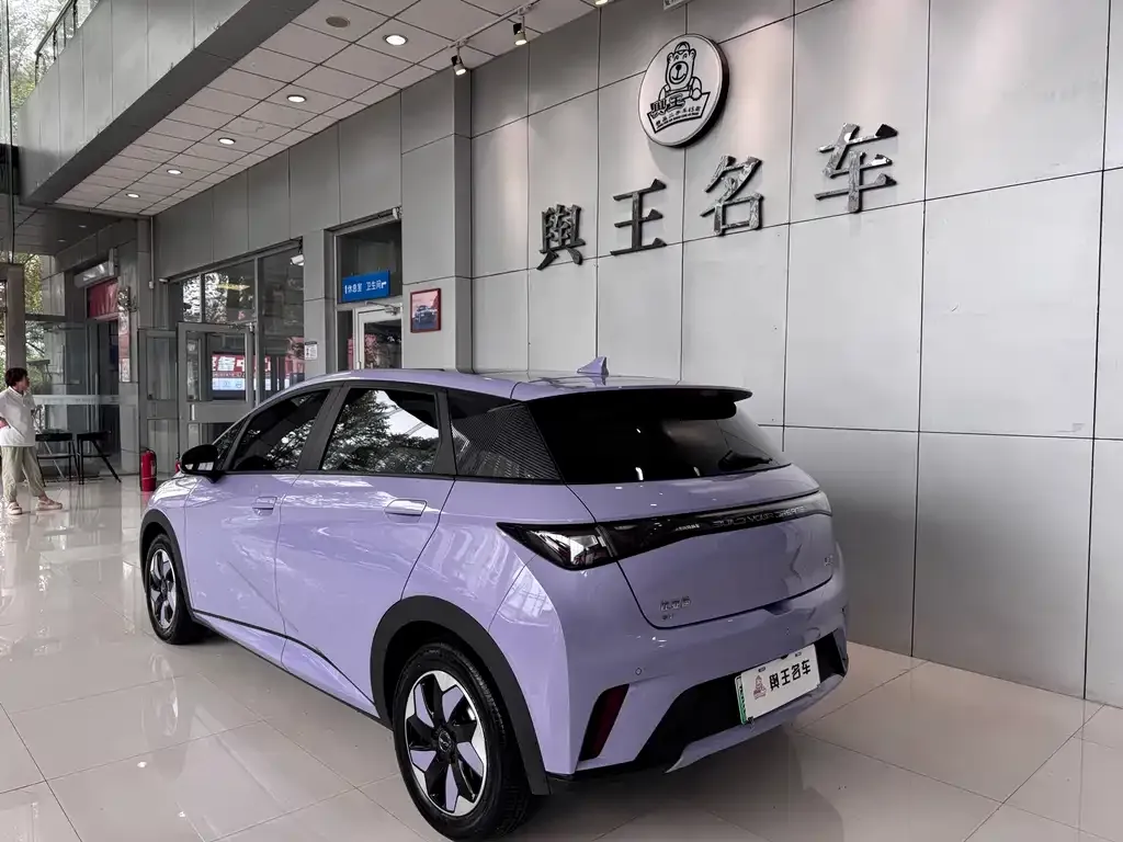 BYD Dolphin 2024 из CN, фото 3
