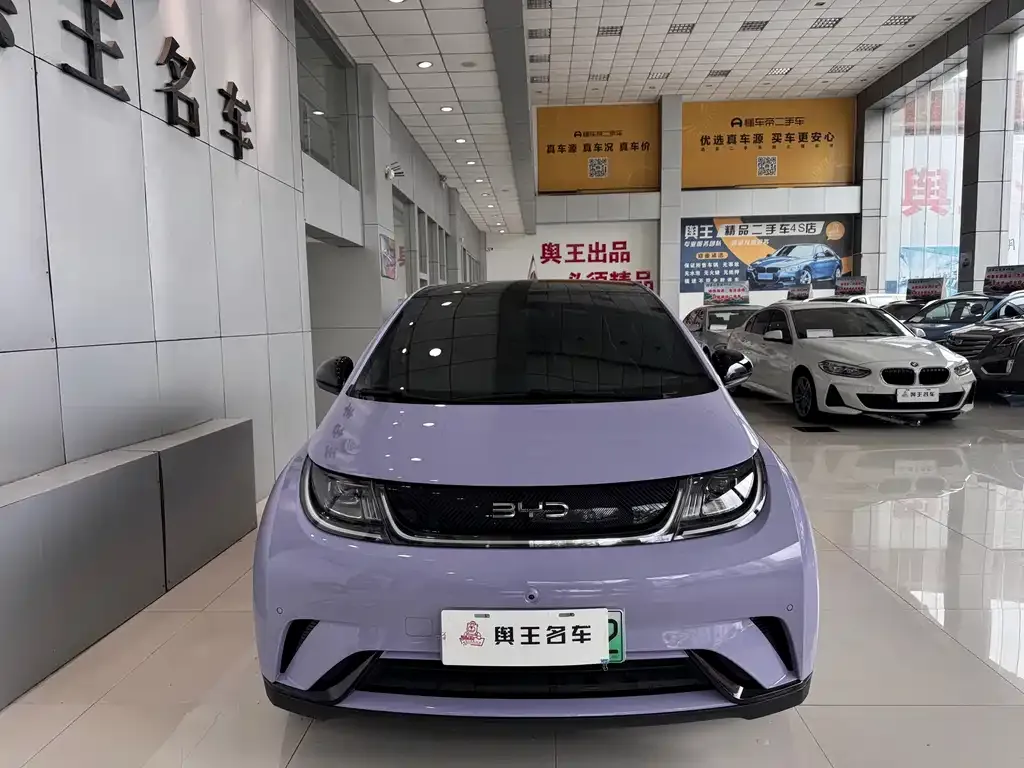 BYD Dolphin 2024 из CN, фото 4