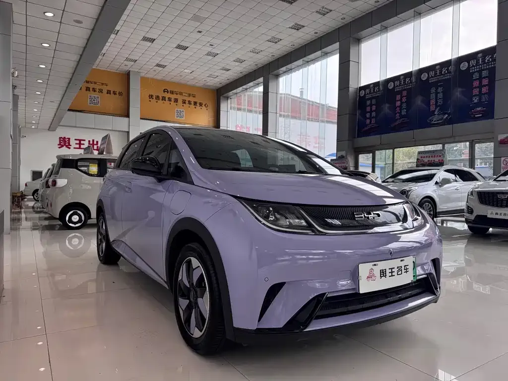 BYD Dolphin 2024 из CN, фото 5