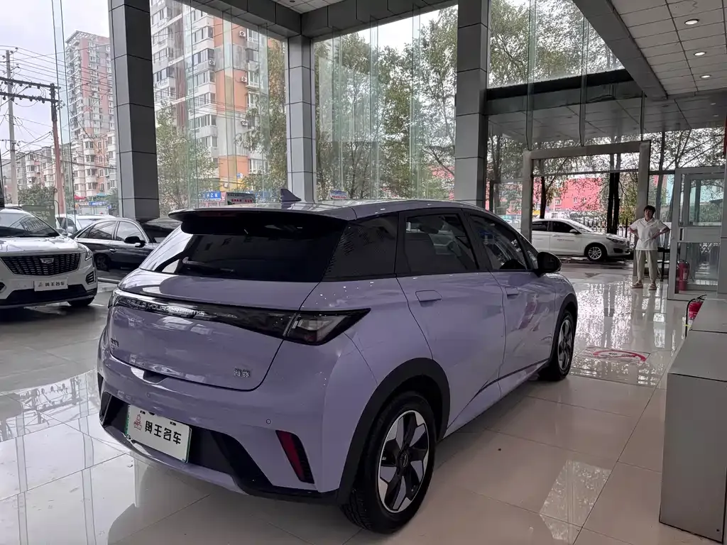 BYD Dolphin 2024 из CN, фото 7
