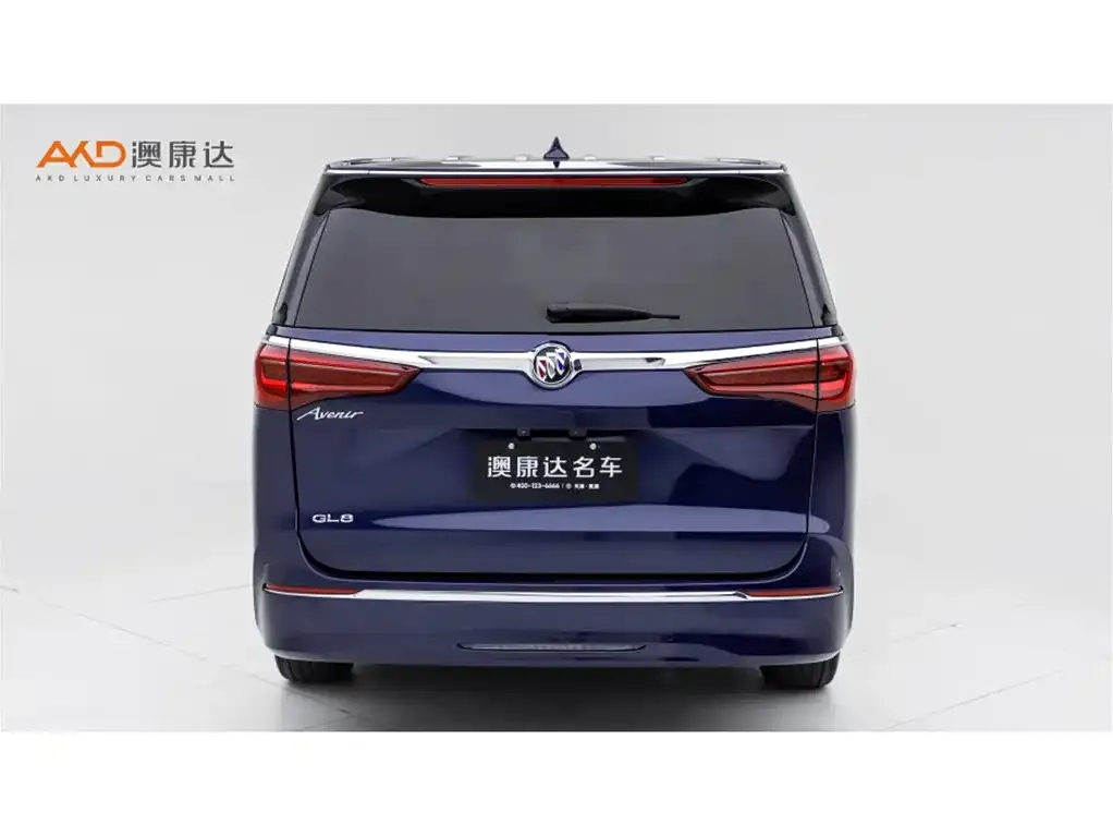 Buick GL8 2021 из CN, фото 4