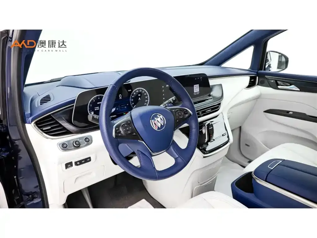 Buick GL8 2021 из CN, фото 6