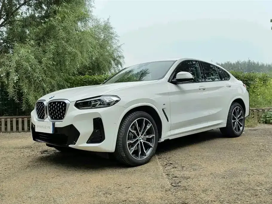 BMW X4 2024 из CN, фото 1