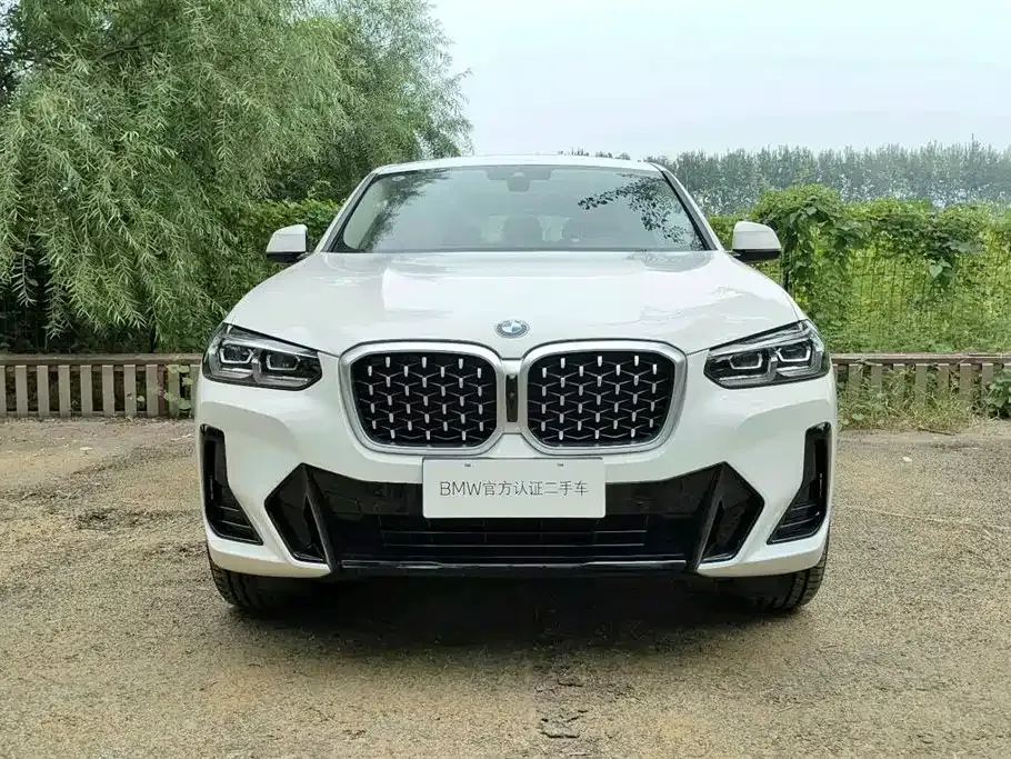 BMW X4 2024 из CN, фото 2