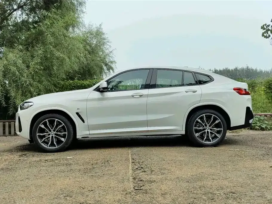 BMW X4 2024 из CN, фото 3