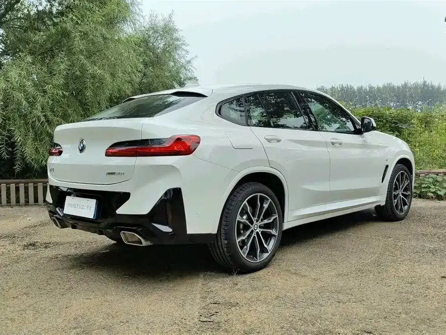 BMW X4 2024 из CN, фото 4