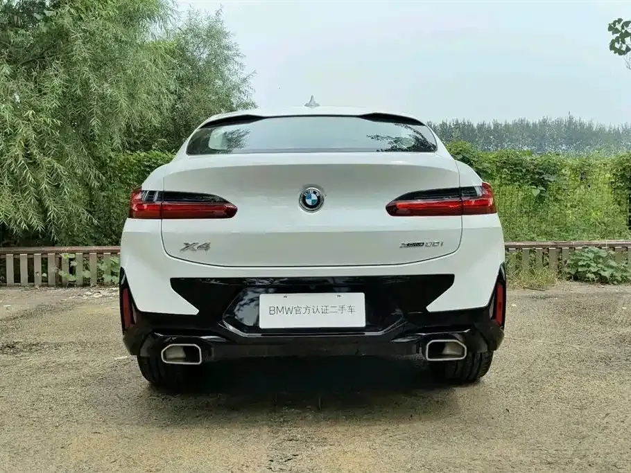 BMW X4 2024 из CN, фото 5