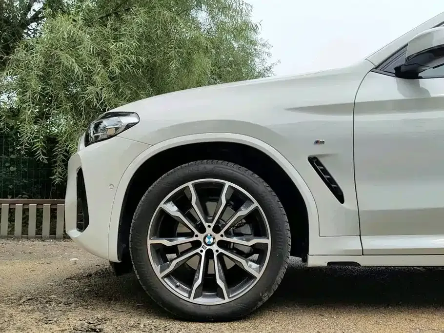 BMW X4 2024 из CN, фото 6