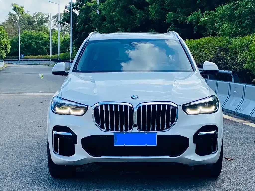 BMW X5 2022 из CN, фото 2
