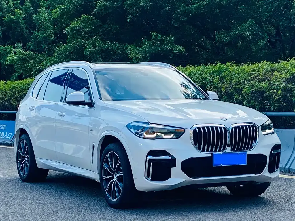 BMW X5 2022 из CN, фото 3