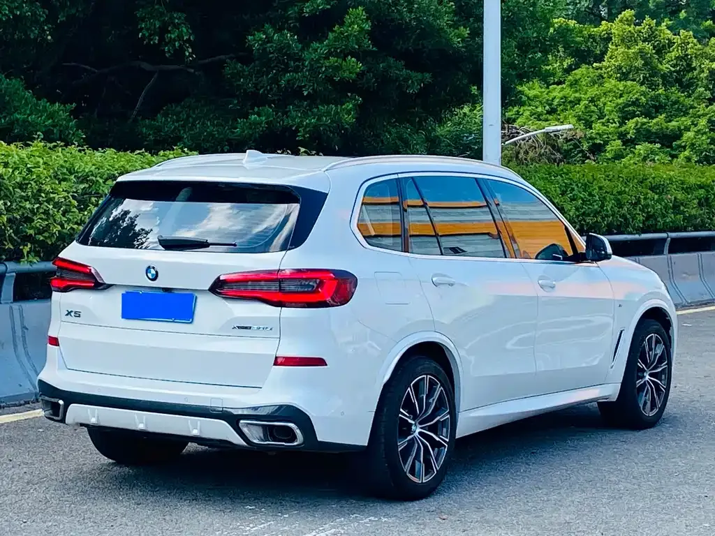 BMW X5 2022 из CN, фото 6