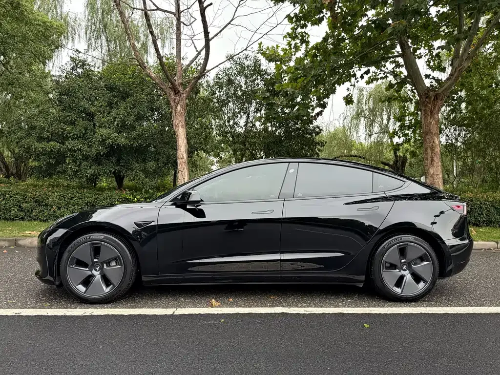 Tesla Model 3 2023 из CN, фото 2