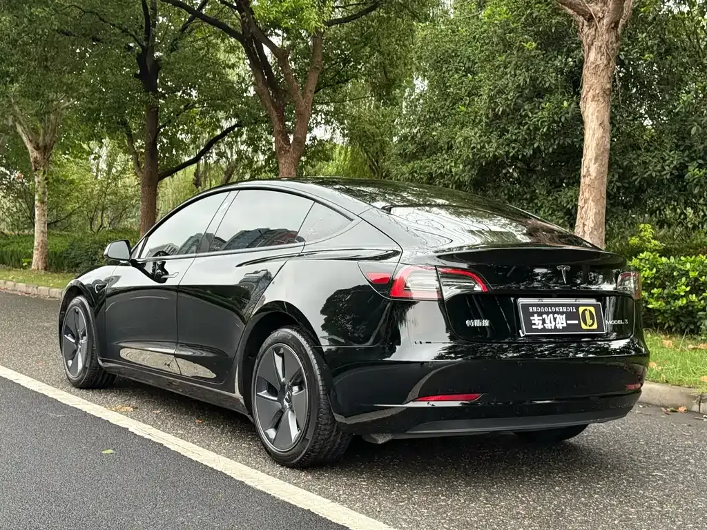 Tesla Model 3 2023 из CN, фото 3