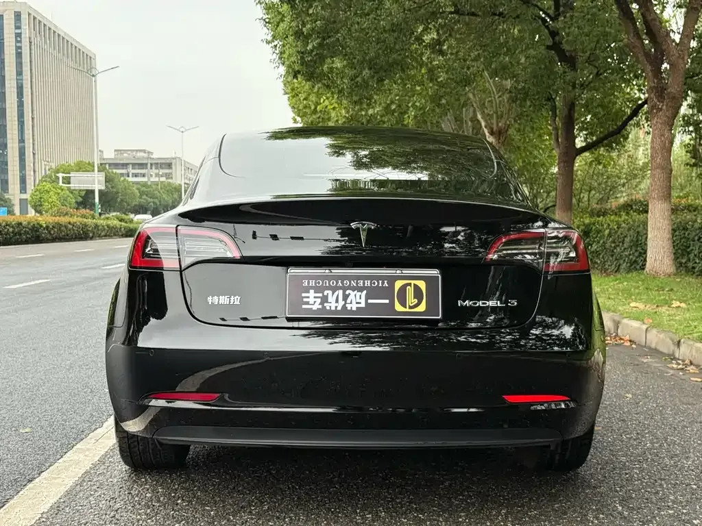 Tesla Model 3 2023 из CN, фото 4