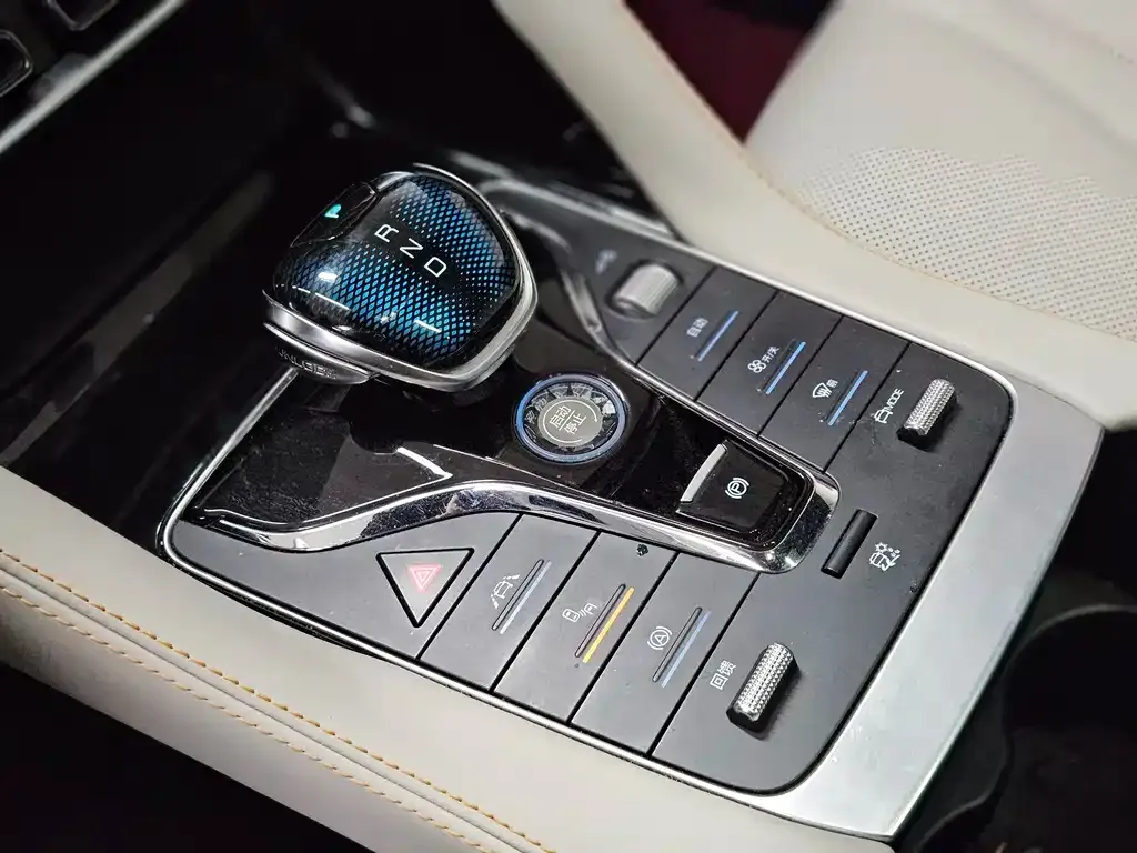 BYD PLUS New Energy 2021 из CN, фото 8