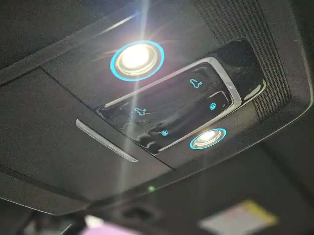 BYD PLUS New Energy 2021 из CN, фото 9