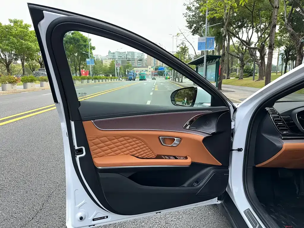 BYD Han 2022 из CN, фото 10