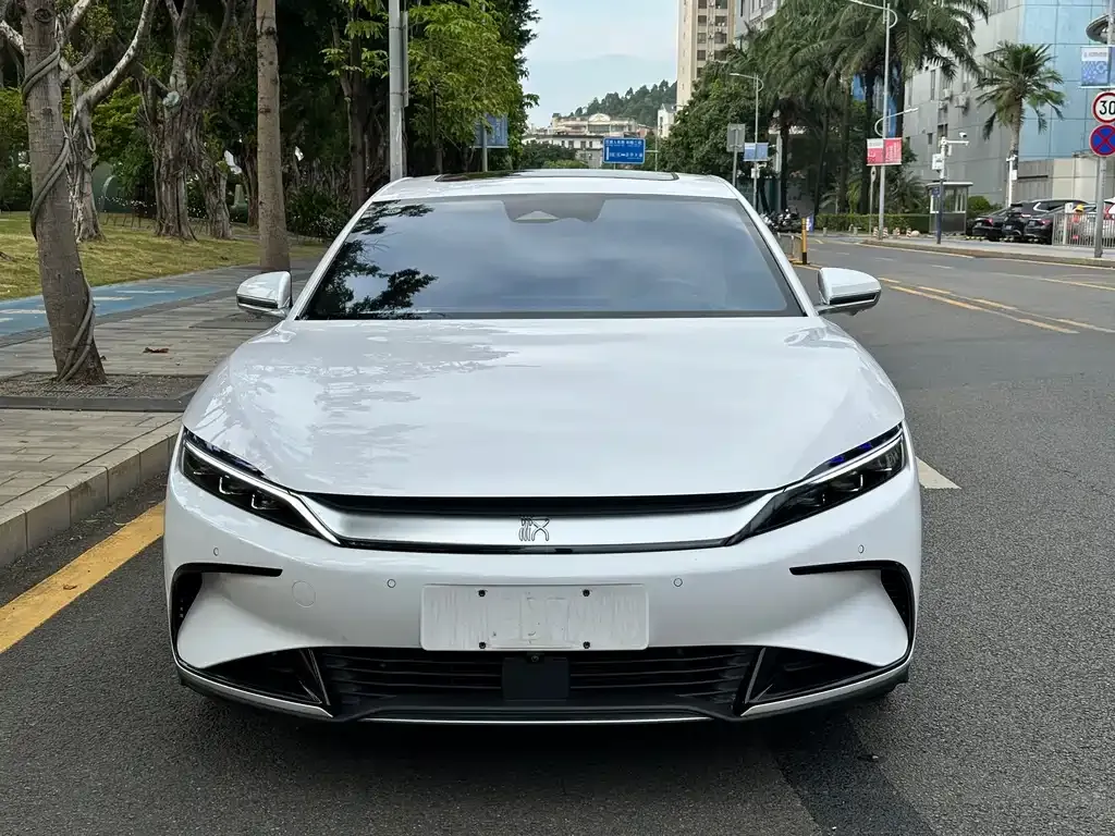 BYD Han 2022 из CN, фото 2