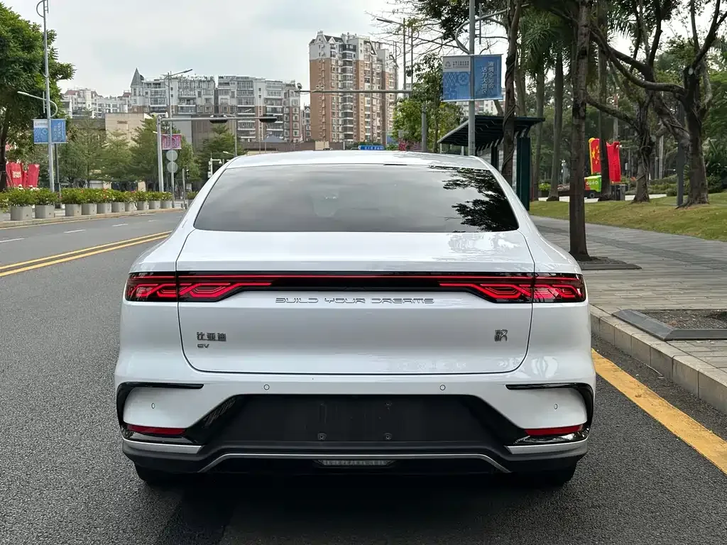 BYD Han 2022 из CN, фото 6
