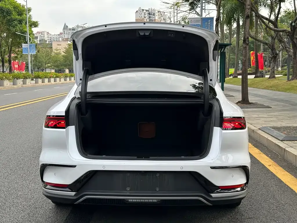 BYD Han 2022 из CN, фото 8