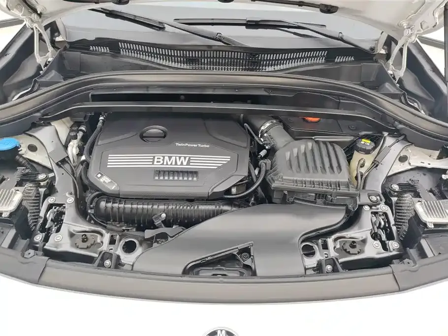 BMW X2 2022 из CN, фото 10