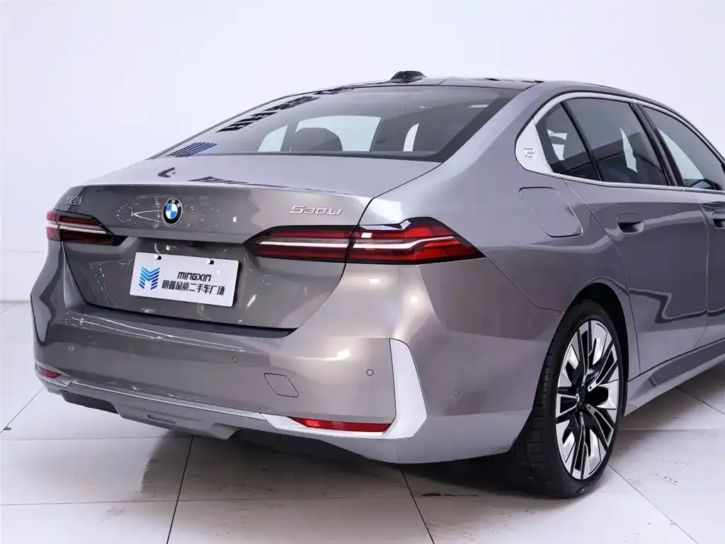 BMW 5 Series 2024 из CN, фото 8