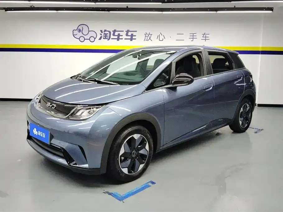BYD Dolphin 2024 из CN, фото 1