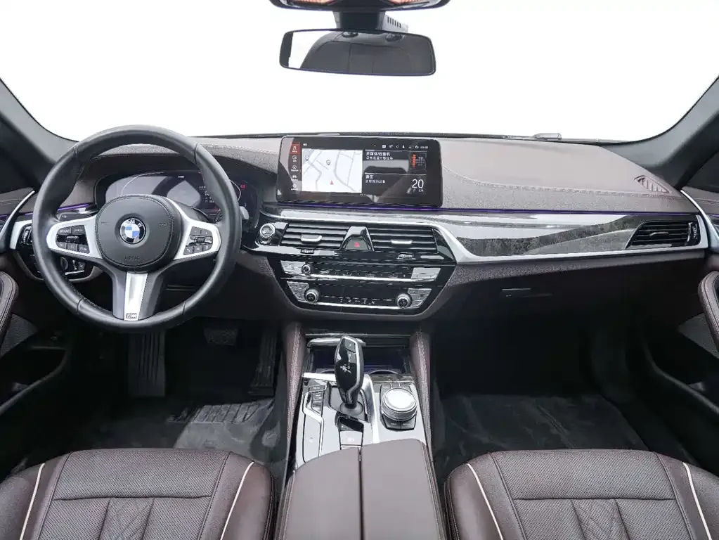 BMW 5 Series 2021 из CN, фото 10