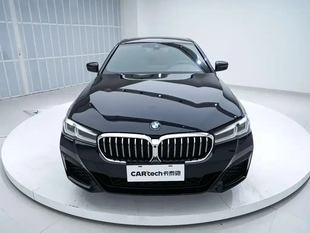 BMW 5 Series 2021 из CN, фото 7