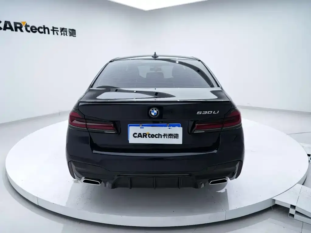 BMW 5 Series 2021 из CN, фото 8