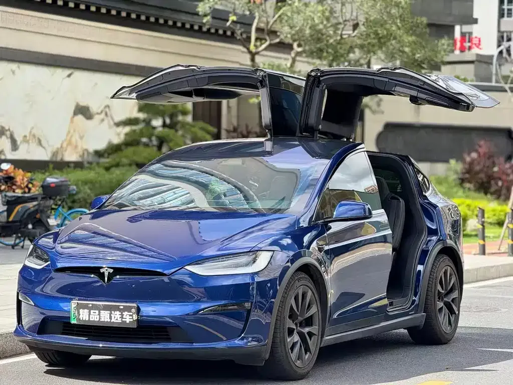 Tesla Model X 2023 из CN, фото 1