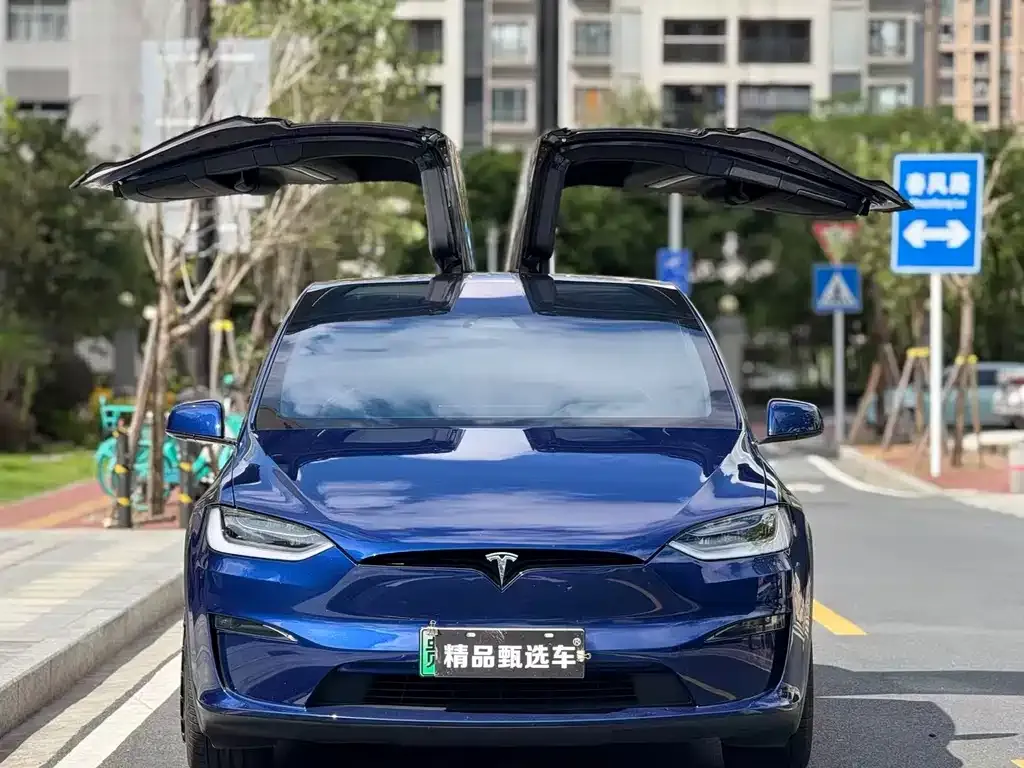 Tesla Model X 2023 из CN, фото 2