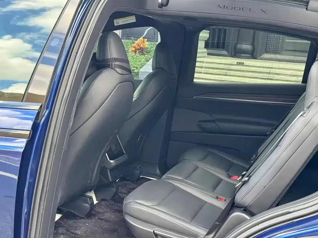 Tesla Model X 2023 из CN, фото 6