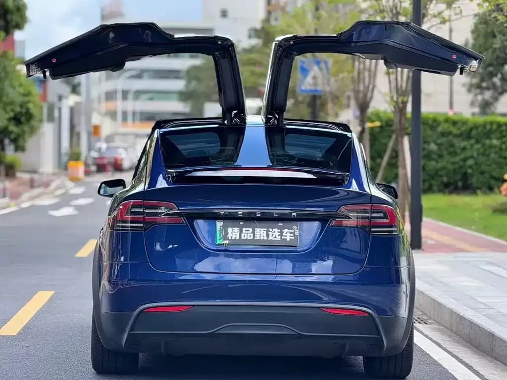 Tesla Model X 2023 из CN, фото 8