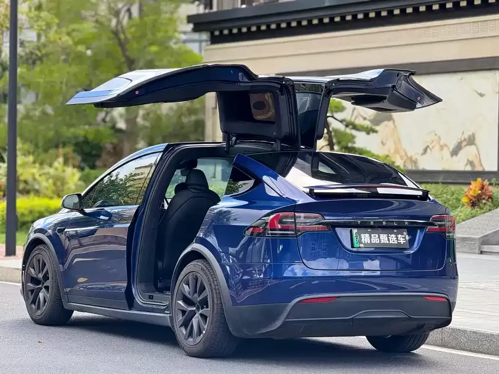 Tesla Model X 2023 из CN, фото 9
