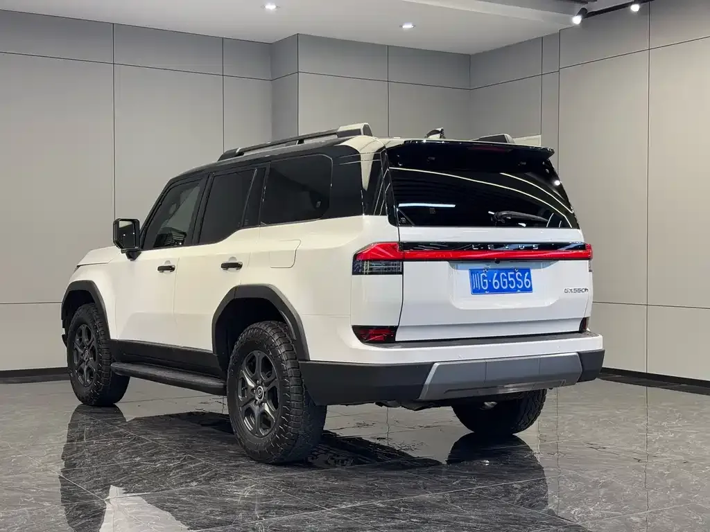 Lexus GX 2024 из CN, фото 7