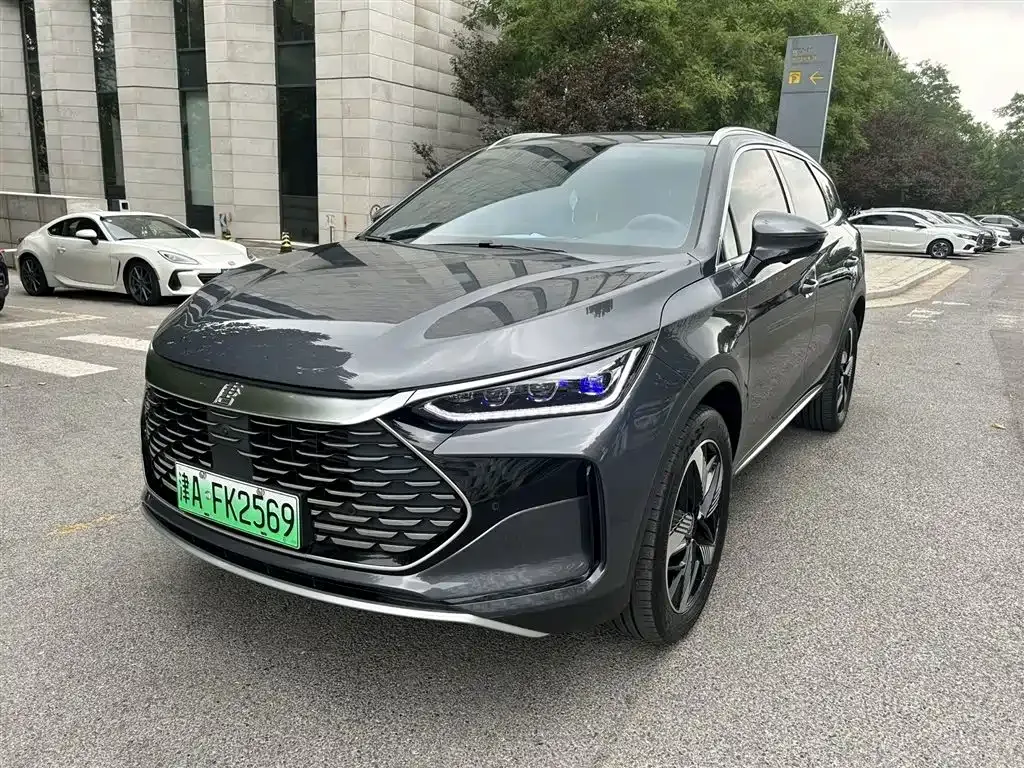 BYD Tang New Energy 2024 из CN, фото 1